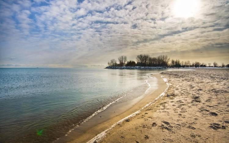 Basement Apartment In Luxury Beach House トロント エクステリア 写真